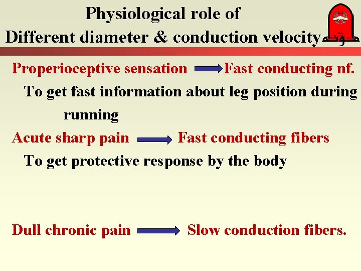 Physiological role of Different diameter & conduction velocity Properioceptive sensation Fast conducting nf. To