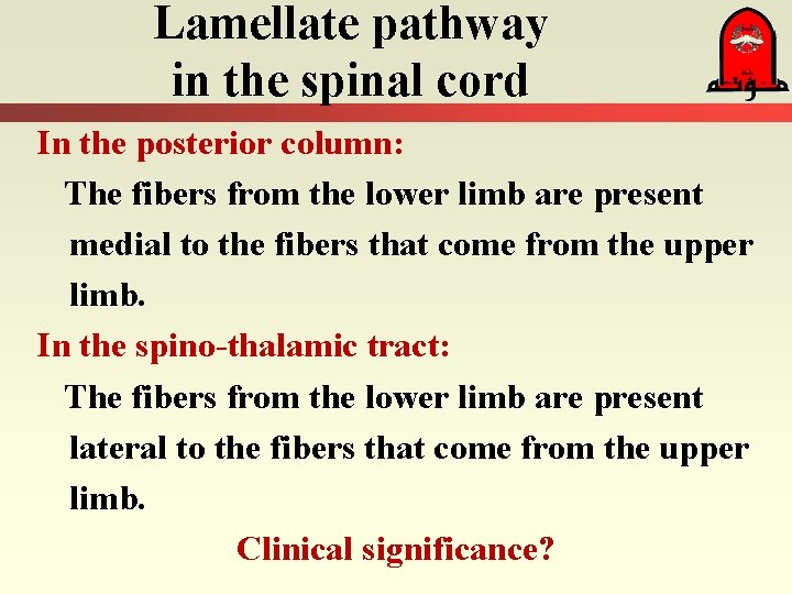 Lamellate pathway in the spinal cord In the posterior column: The fibers from the