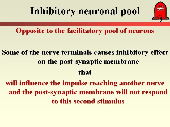 Inhibitory neuronal pool Opposite to the facilitatory pool of neurons Some of the nerve