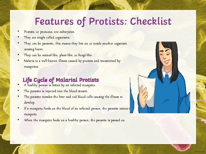 Features of Protists: Checklist • Protists, or protozoa, are eukaryotes. • They are single