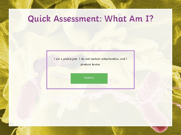 Quick Assessment: What Am I? I am a prokaryote. I do not contain mitochondria,