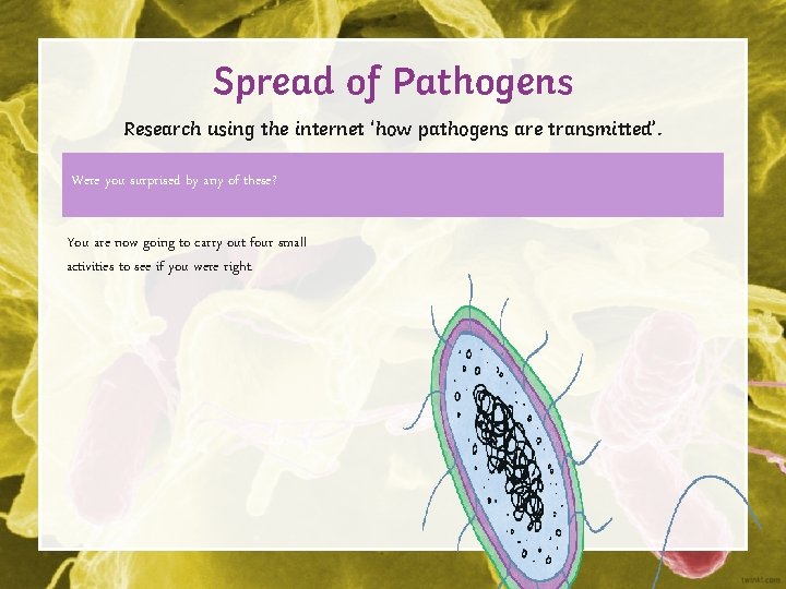 Spread of Pathogens Research using the internet ‘how pathogens are transmitted’. Were you surprised