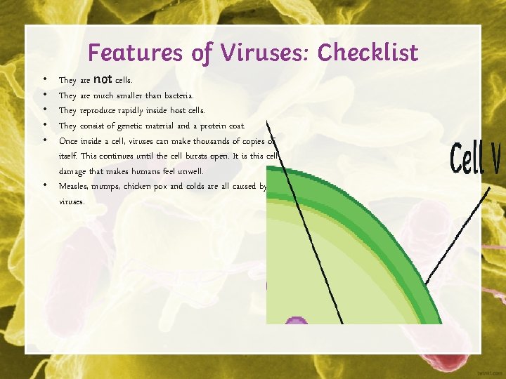 Features of Viruses: Checklist They are not cells. They are much smaller than bacteria.