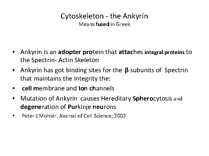 Cytoskeleton - the Ankyrin Means fused in Greek • Ankyrin is an adopter protein