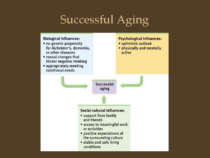 Successful Aging 
