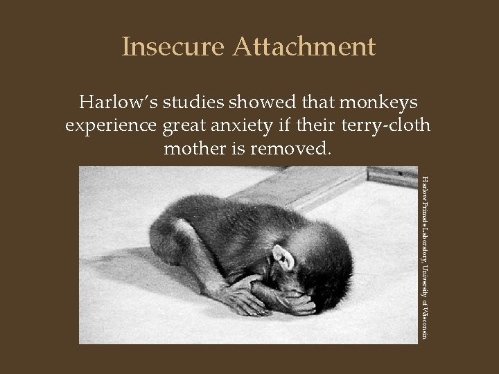 Insecure Attachment Harlow’s studies showed that monkeys experience great anxiety if their terry-cloth mother