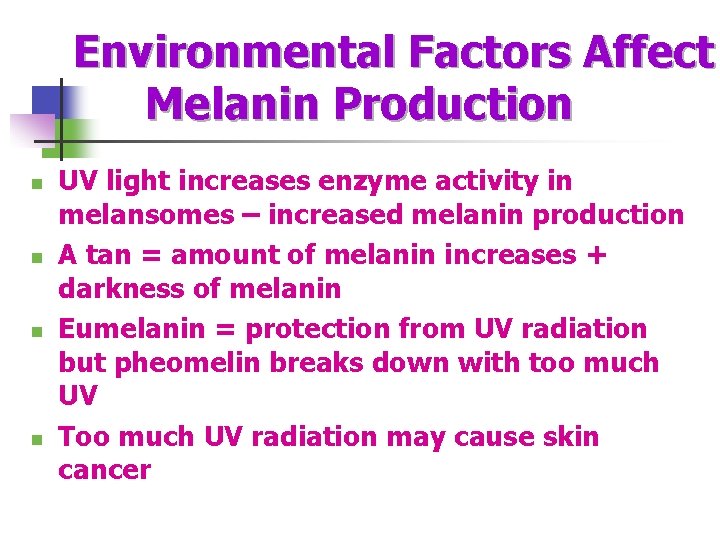 Environmental Factors Affect Melanin Production n n UV light increases enzyme activity in melansomes