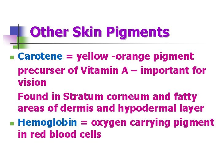 Other Skin Pigments n n Carotene = yellow -orange pigment precurser of Vitamin A