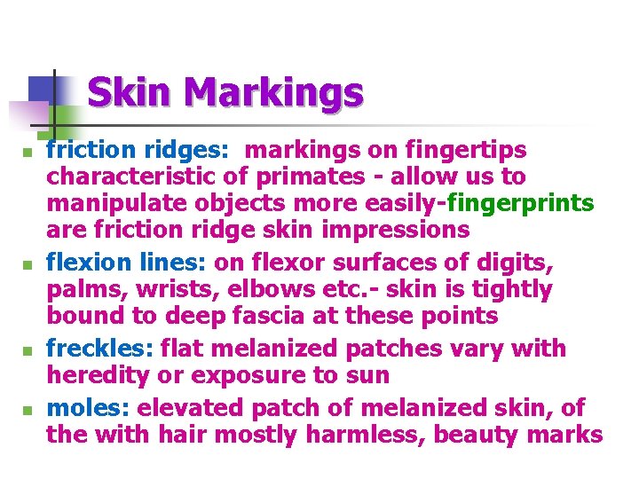 Skin Markings n n friction ridges: markings on fingertips characteristic of primates - allow