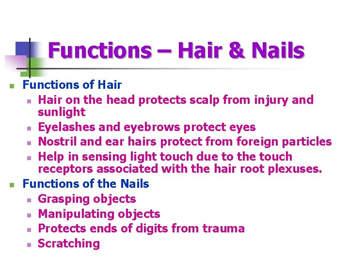 Functions – Hair & Nails n n Functions of Hair n Hair on the