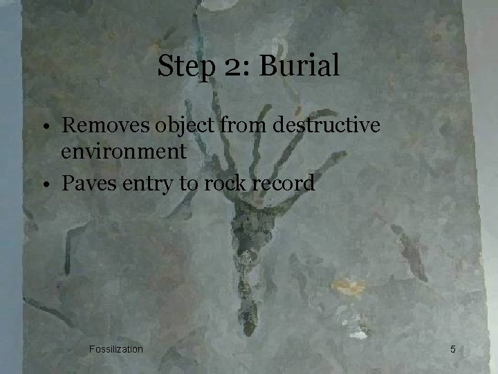 Step 2: Burial • Removes object from destructive environment • Paves entry to rock