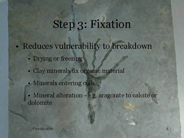 Step 3: Fixation • Reduces vulnerability to breakdown • Drying or freezing • Clay