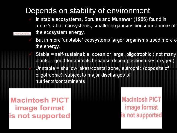 Depends on stability of environment ü In stable ecosystems, Sprules and Munawar (1986) found