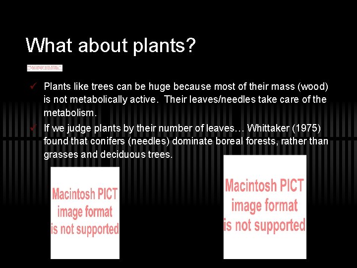 What about plants? ü Plants like trees can be huge because most of their