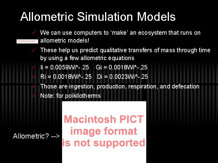 Allometric Simulation Models ü We can use computers to ‘make’ an ecosystem that runs