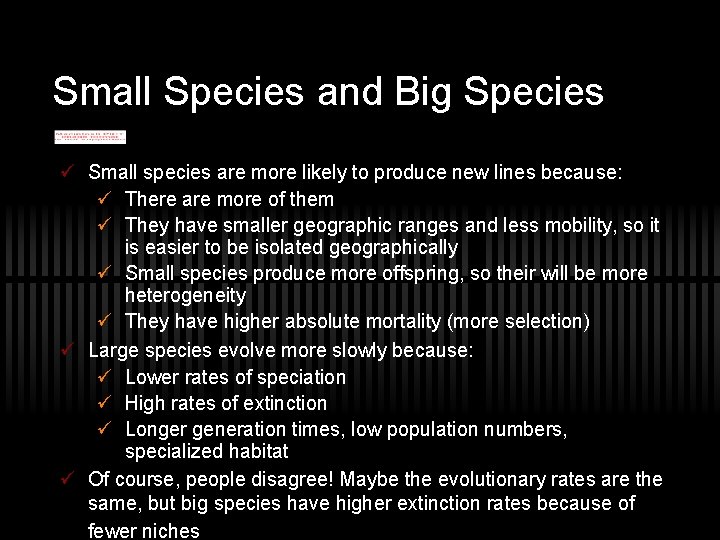 Small Species and Big Species ü Small species are more likely to produce new