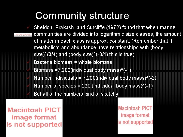 Community structure ü Sheldon, Prakash, and Sutcliffe (1972) found that when marine communities are