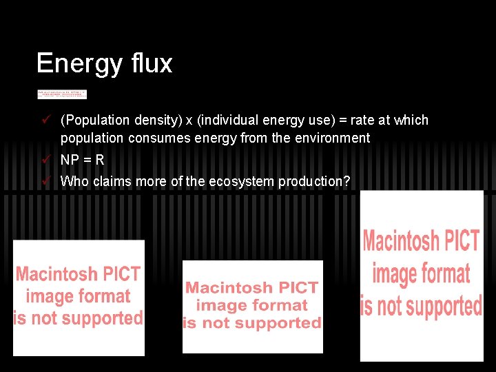 Energy flux ü (Population density) x (individual energy use) = rate at which population