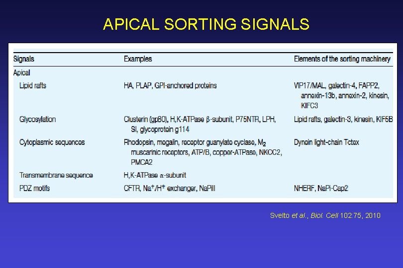 APICAL SORTING SIGNALS Svelto et al. , Biol. Cell 102: 75, 2010 