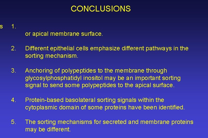 s CONCLUSIONS 1. or apical membrane surface. 2. Different epithelial cells emphasize different pathways