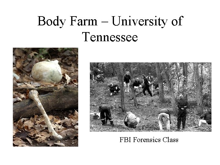 Body Farm – University of Tennessee FBI Forensics Class 