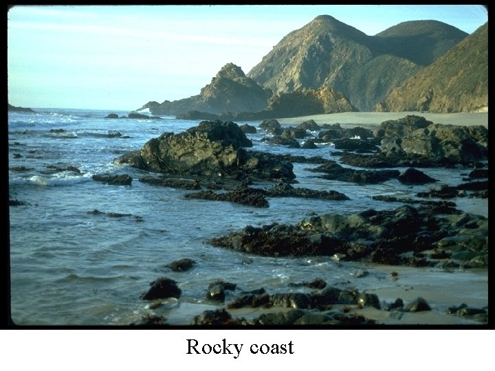 Rocky coast 