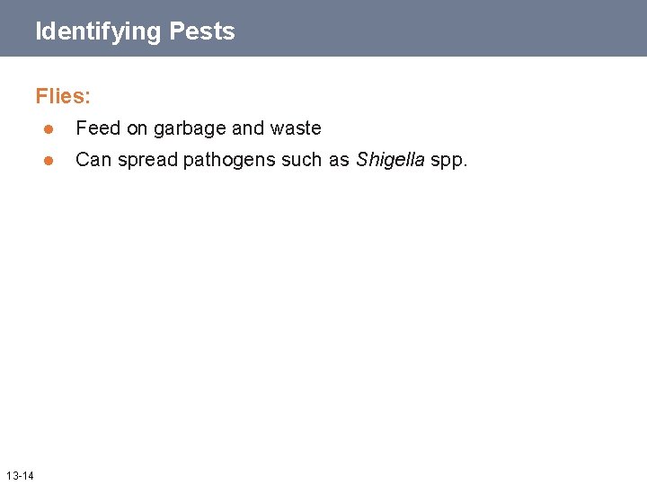 Identifying Pests Flies: 13 -14 l Feed on garbage and waste l Can spread