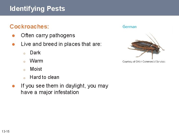 Identifying Pests Cockroaches: l Often carry pathogens l Live and breed in places that