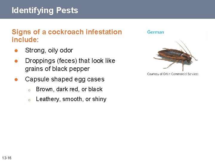 Identifying Pests Signs of a cockroach infestation include: 13 -16 l Strong, oily odor
