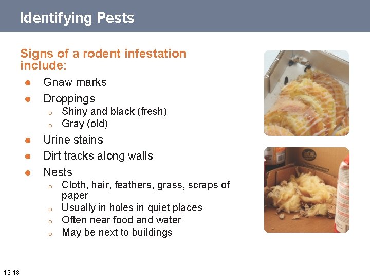 Identifying Pests Signs of a rodent infestation include: l l Gnaw marks Droppings o