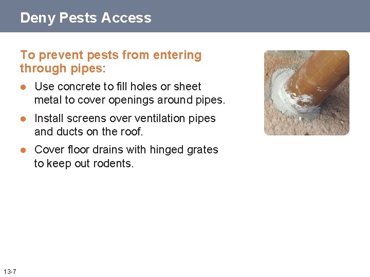 Deny Pests Access To prevent pests from entering through pipes: 13 -7 l Use