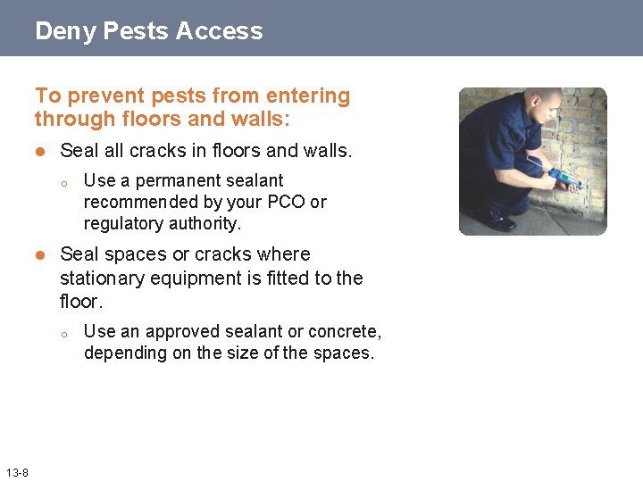 Deny Pests Access To prevent pests from entering through floors and walls: l Seal