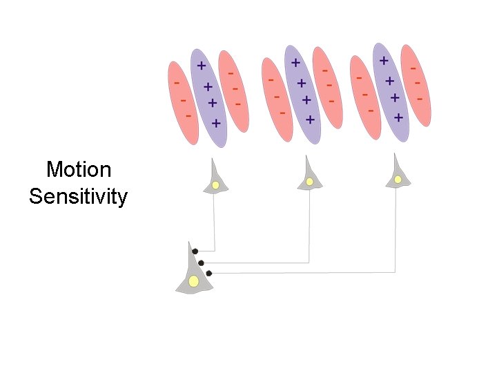 Motion Sensitivity 