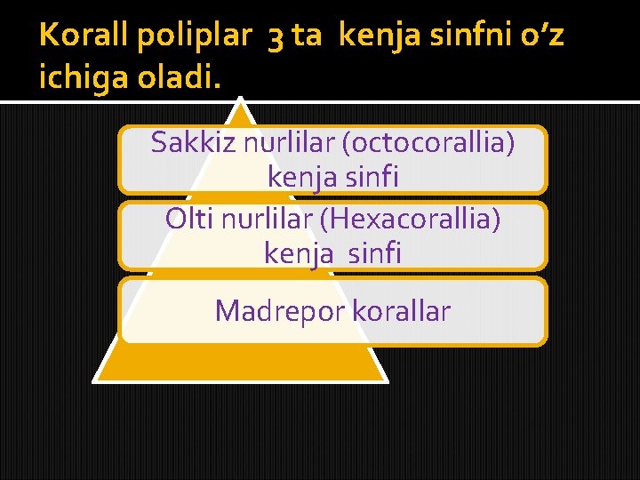 Korall poliplar 3 ta kenja sinfni o’z ichiga oladi. Sakkiz nurlilar (octocorallia) kenja sinfi