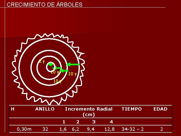 CRECIMIENTO DE ÁRBOLES 2 y 10 y H ANILLO 0, 30 m 32 Incremento