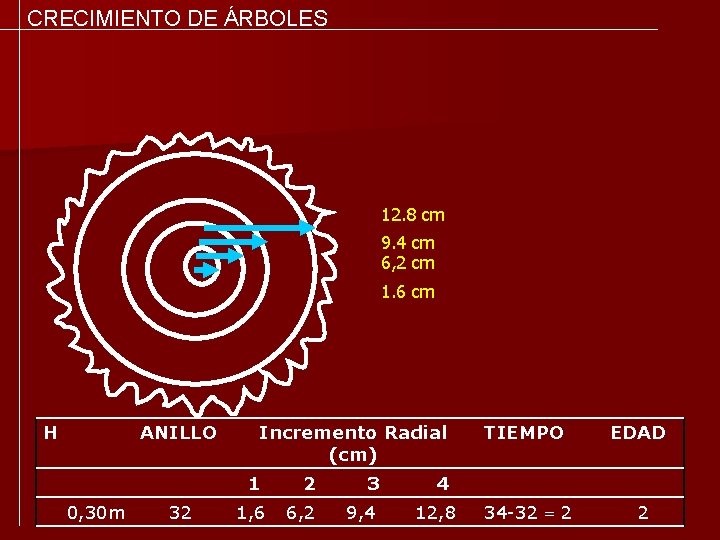 CRECIMIENTO DE ÁRBOLES 12. 8 cm 9. 4 cm 6, 2 cm 1. 6