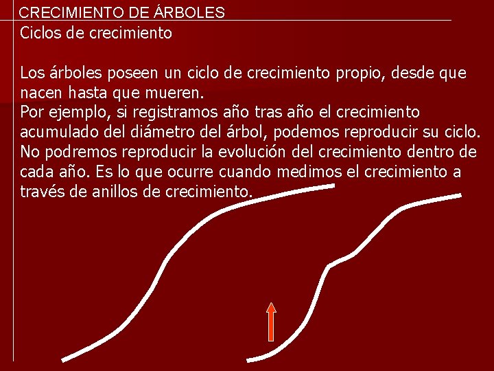 CRECIMIENTO DE ÁRBOLES Ciclos de crecimiento Los árboles poseen un ciclo de crecimiento propio,