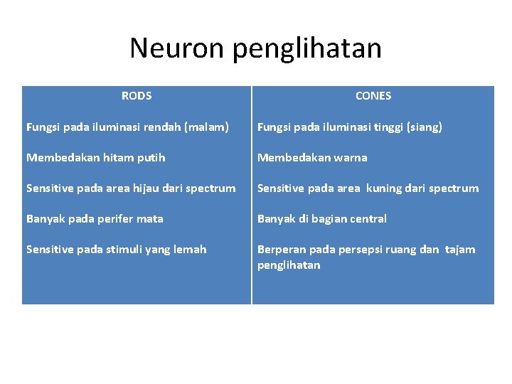Neuron penglihatan RODS CONES Fungsi pada iluminasi rendah (malam) Fungsi pada iluminasi tinggi (siang)