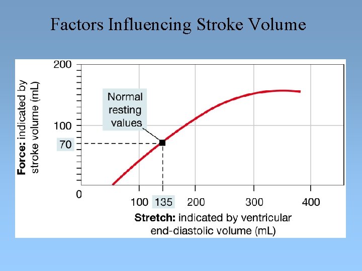 Factors Influencing Stroke Volume 