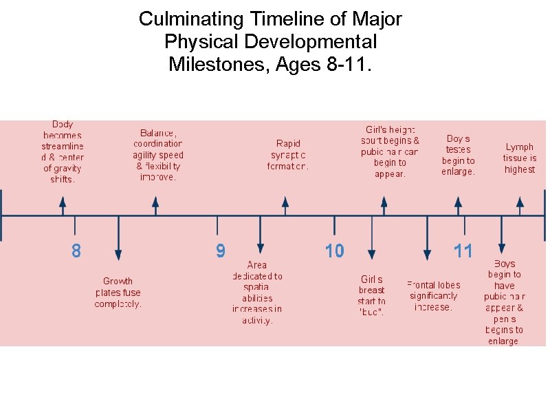 Culminating Timeline of Major Physical Developmental Milestones, Ages 8 -11. 