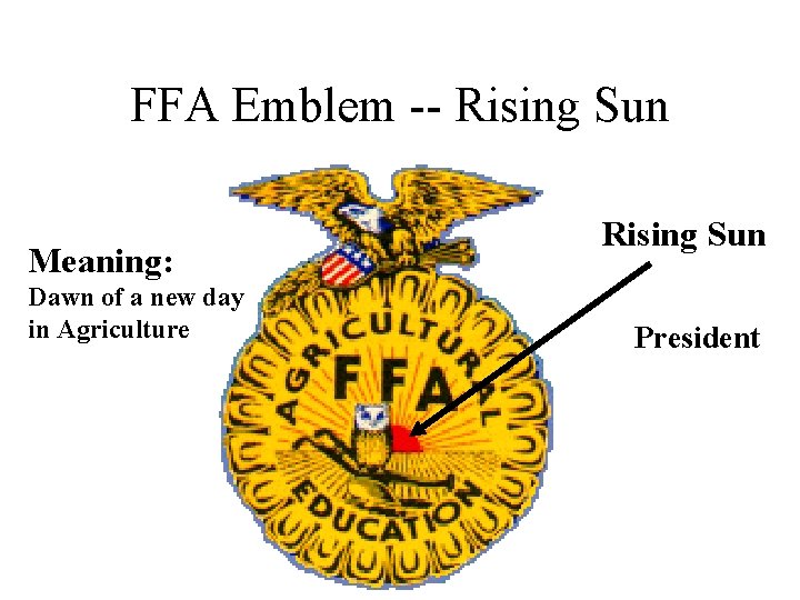 FFA Emblem -- Rising Sun Meaning: Dawn of a new day in Agriculture Rising