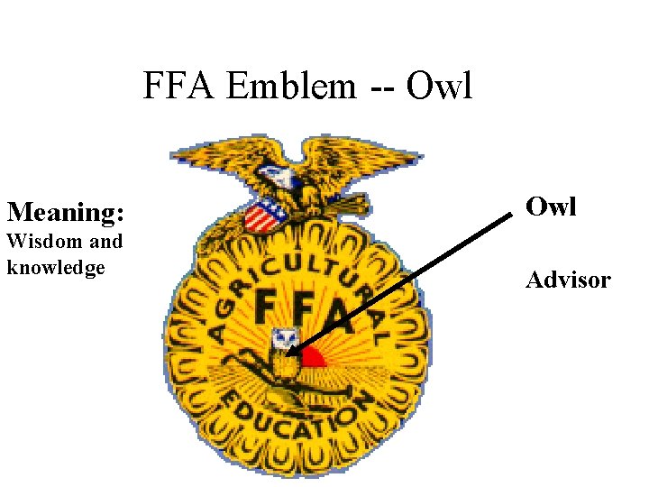 FFA Emblem -- Owl Meaning: Wisdom and knowledge Owl Advisor 