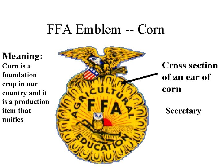 FFA Emblem -- Corn Meaning: Corn is a foundation crop in our country and