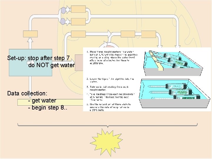 Set-up: stop after step 7 do NOT get water Data collection: - get water