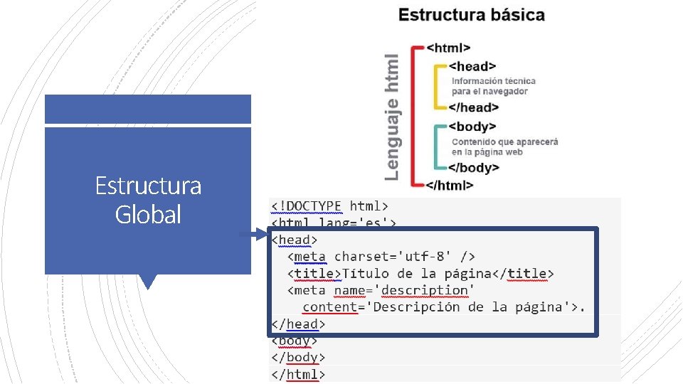 Estructura Global 