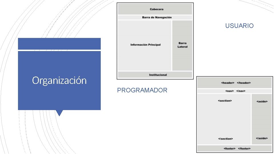 USUARIO Organización PROGRAMADOR 