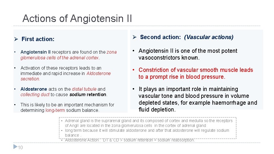 Actions of Angiotensin II Ø First action: Ø Second action: (Vascular actions) • Angiotensin