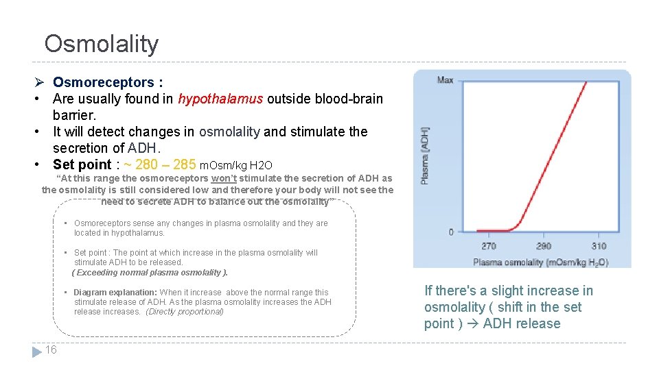 Osmolality Ø Osmoreceptors : • Are usually found in hypothalamus outside blood-brain barrier. •