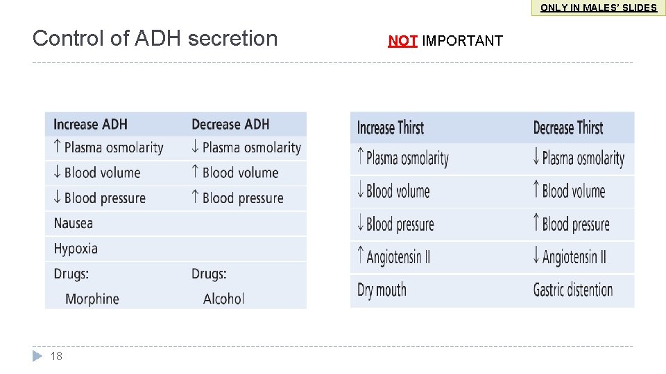 ONLY IN MALES’ SLIDES Control of ADH secretion 18 NOT IMPORTANT 