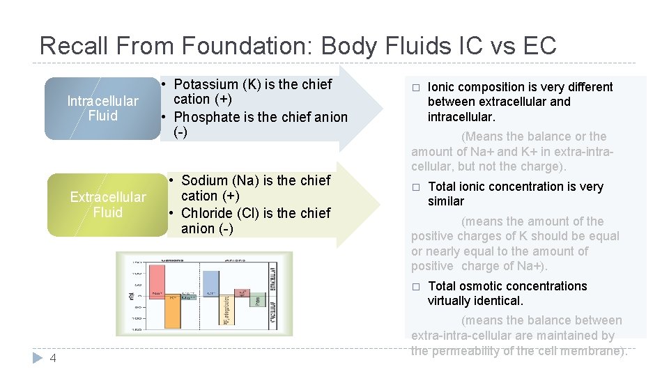 Recall From Foundation: Body Fluids IC vs EC Intracellular Fluid Extracellular Fluid • Potassium